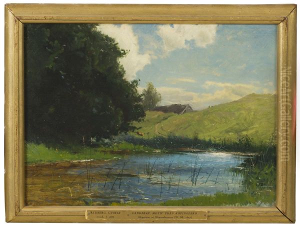Landscape at Kopingebro, near Ystad - view 1