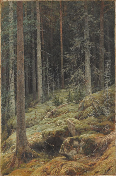 Wilds - view 1