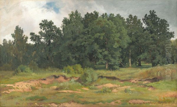 Oak Wood in a Gray Day - view 1