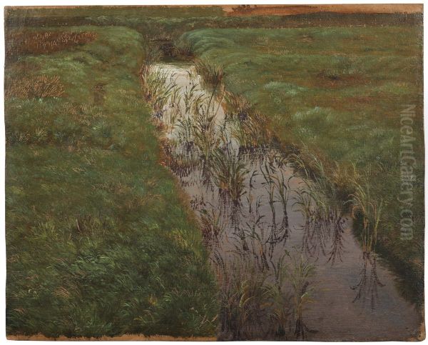 Dike - view 1