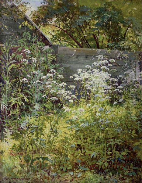 Corner Overgrown Garden. Aegopodium-grass - view 1