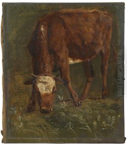 Grazing red heifer. Study
