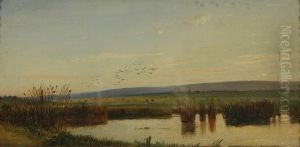 Marshland at Sunset