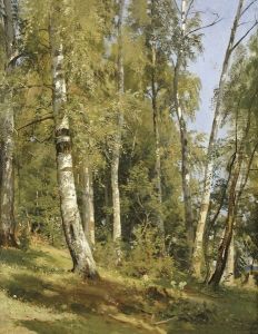 <<Berezovaa rosa>> by Ivan Shishkin