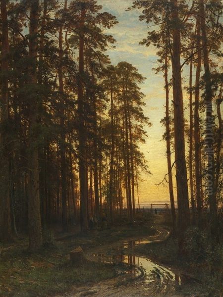 Evening in a Pine Forest (Pine Forest) - view 1