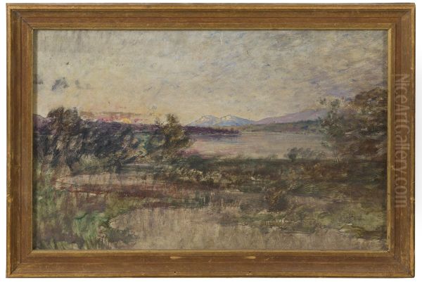Landscape - view 1