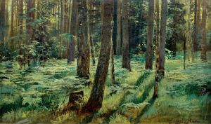 Ferns in the Forest. Siverskaya
