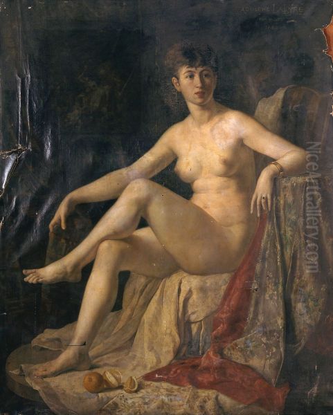 Le modele - view 1