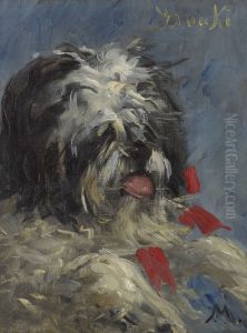 Le chien 'Donki' Le chien 'Donki'