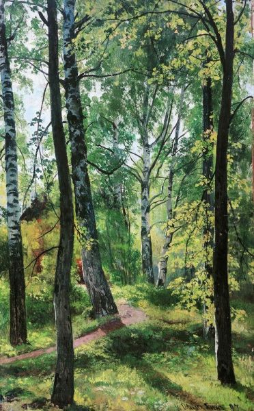 Deciduous Forest. Etude - view 1
