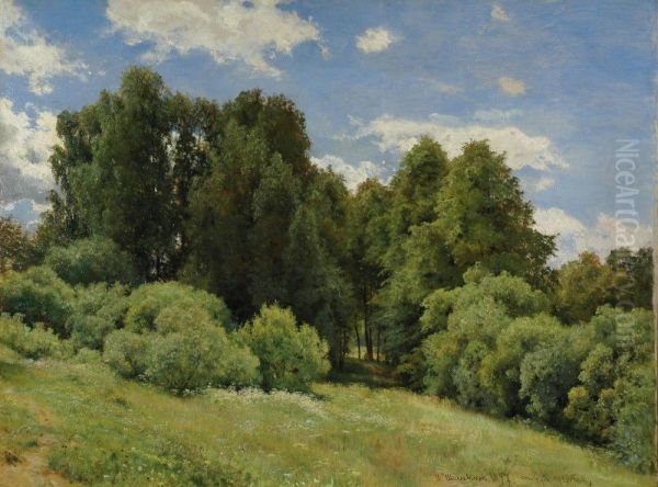 Glade (Forest Glade) - view 1