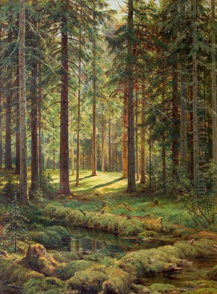 Las iglasty. Sloneczny dzien - view 1