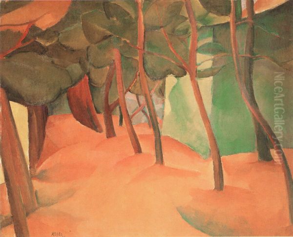Krajina - view 1