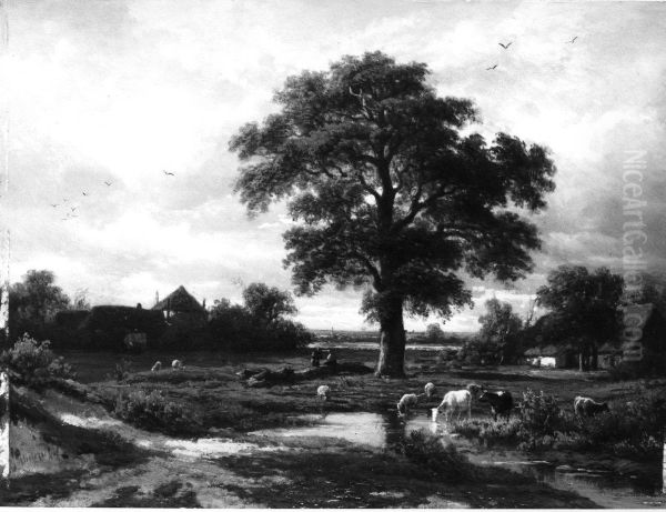Een landschap, op de voorgrond rundvee bij een plas water - view 1