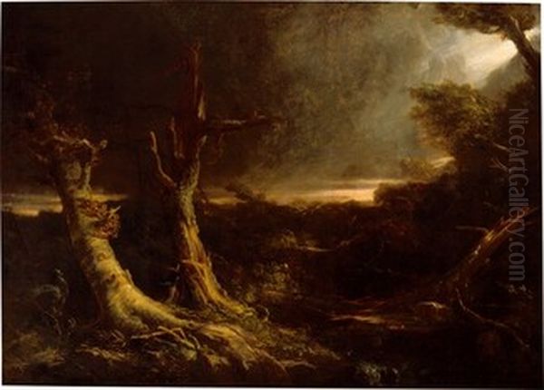 Tornado in an American Forest - view 1