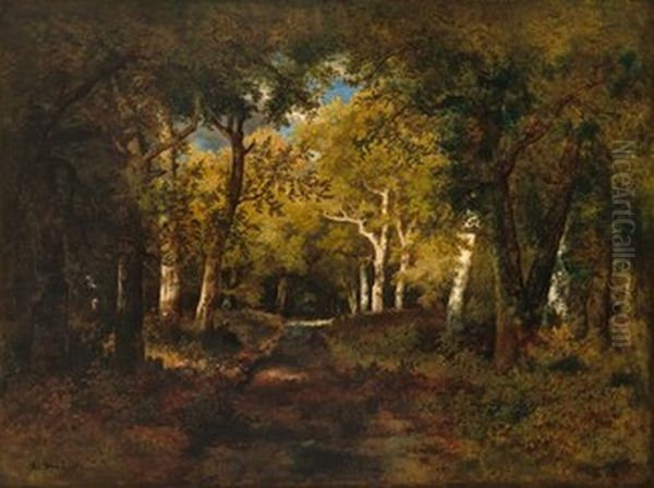 In the Forest - view 1