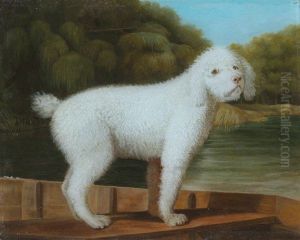White Poodle in a Punt