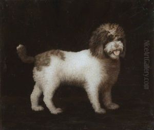 Water Spaniel by George Stubbs