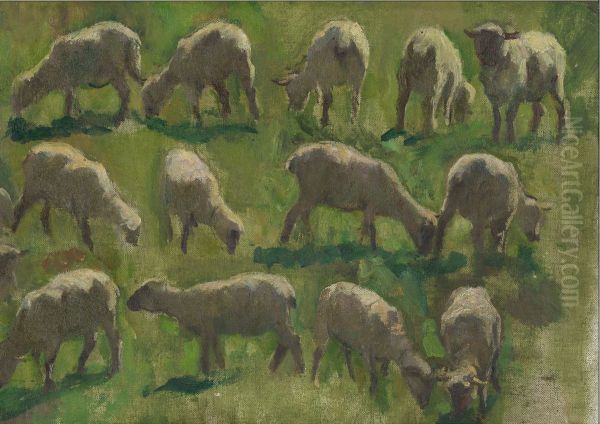 Sheep in a Field (Study) - view 1