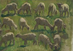Sheep in a Field (Study)
