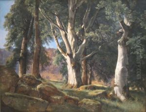 The Sycamores The Sycamores