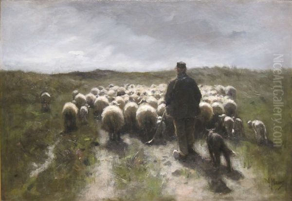 Shepherd and Sheep - view 1