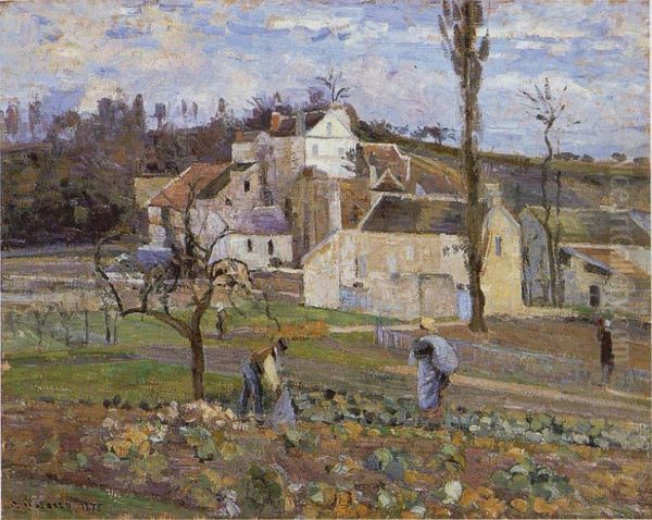 Cabbage Patch Near the Village - view 1