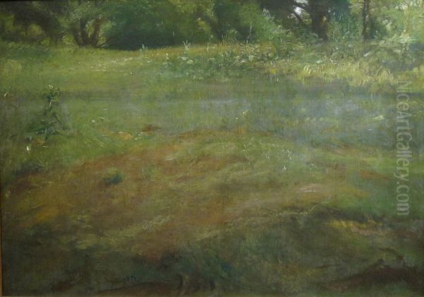 Landscape Near T.S. Noble's House on Kemper Lane - view 1