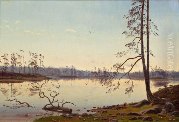Summer morning - view 1