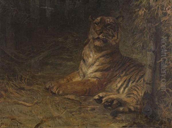 Liegender Tiger im Dschungel - view 1