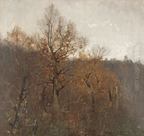 Waldlandschaft - view 1