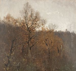 Waldlandschaft Waldlandschaft
