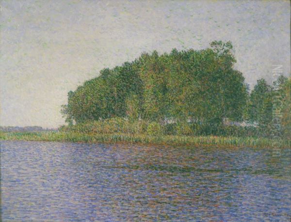 Landscape - view 1
