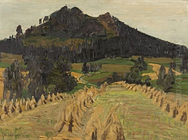 Kornfeld vor einem Berg. Kreuzbach bei Fischbach im Riesengebirge - view 1