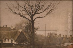 Udsigt over fjorden med nogent trae. Sankt Jorgensbjerg
