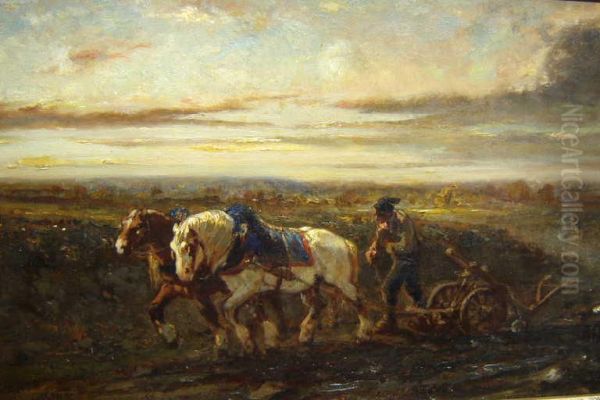 Chevaux au labour - view 1