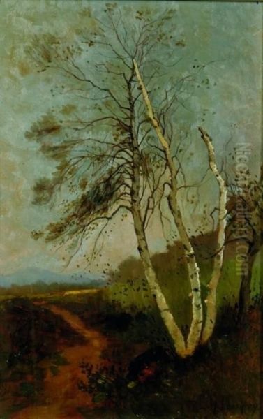 Birch Tree By A Country Path - view 1