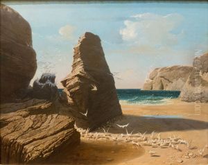 Les petites mouettes, rivage de Belle-Isle en mer, Port-Donnant by Octave Penguilly l'Haridon