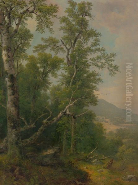 Study of Trees - view 1