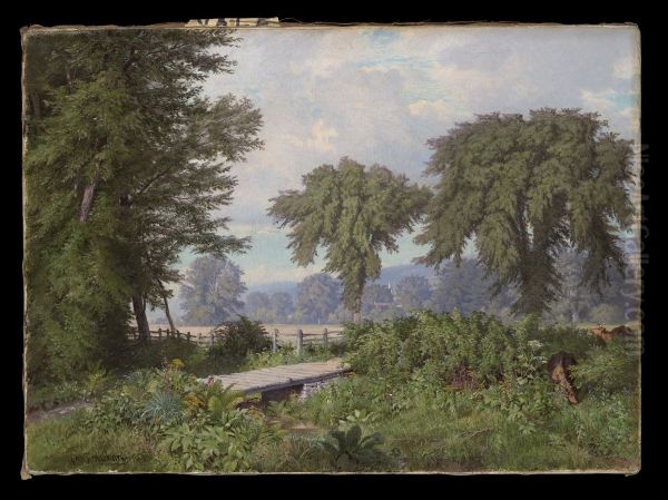 Landscape - view 1