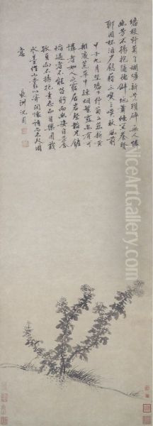 Wild Chrysanthemum - view 1