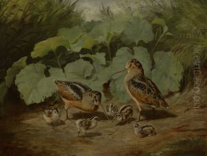 Woodcock and Young by Arthur Fitzwilliam Tait