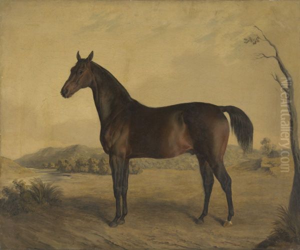 Tranby - view 1