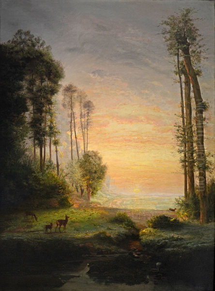 Le soleil boit la rosee - view 1
