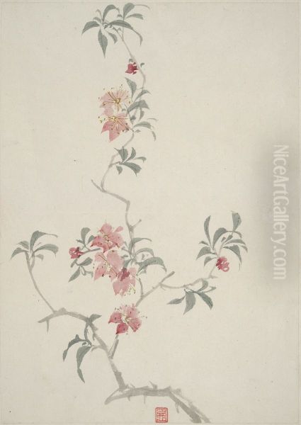 Album of Flowers - view 1