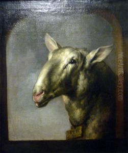 Head of a Sheep
