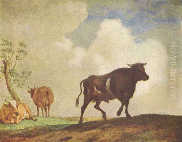 Stier und Kuhe - view 1