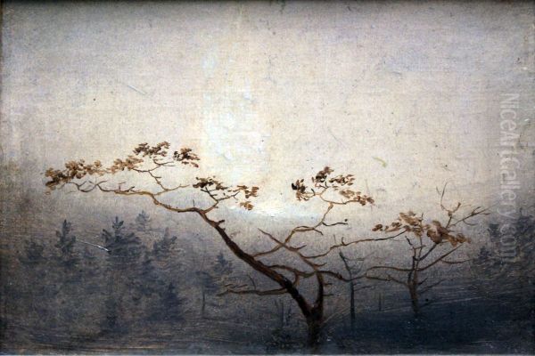 Trees at sunrise in autumn - view 1