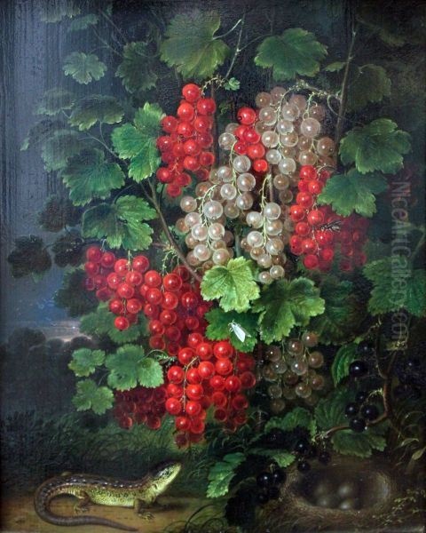 Johannisbeeren - view 1