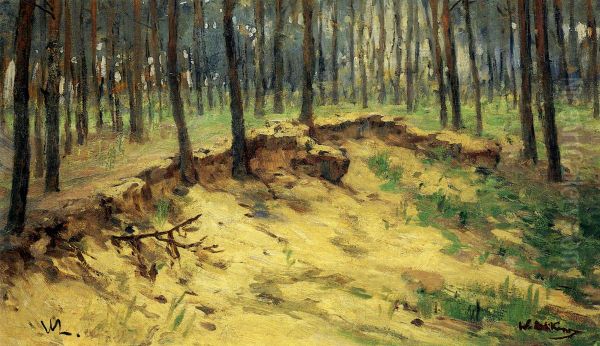 Waldstuck mit Sandgrube - view 1